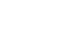 TDS Logo